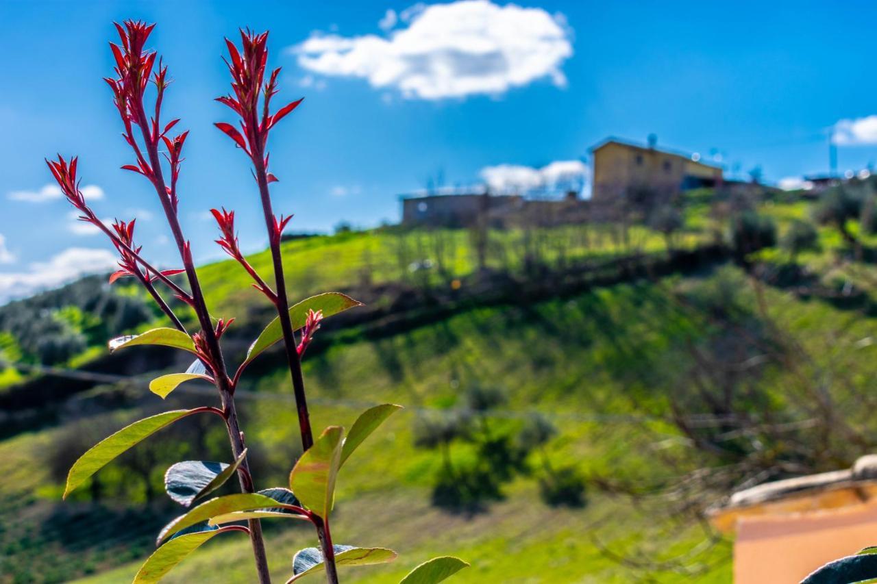 La Casa Del Nonno Bed & Breakfast Spoltore Bagian luar foto