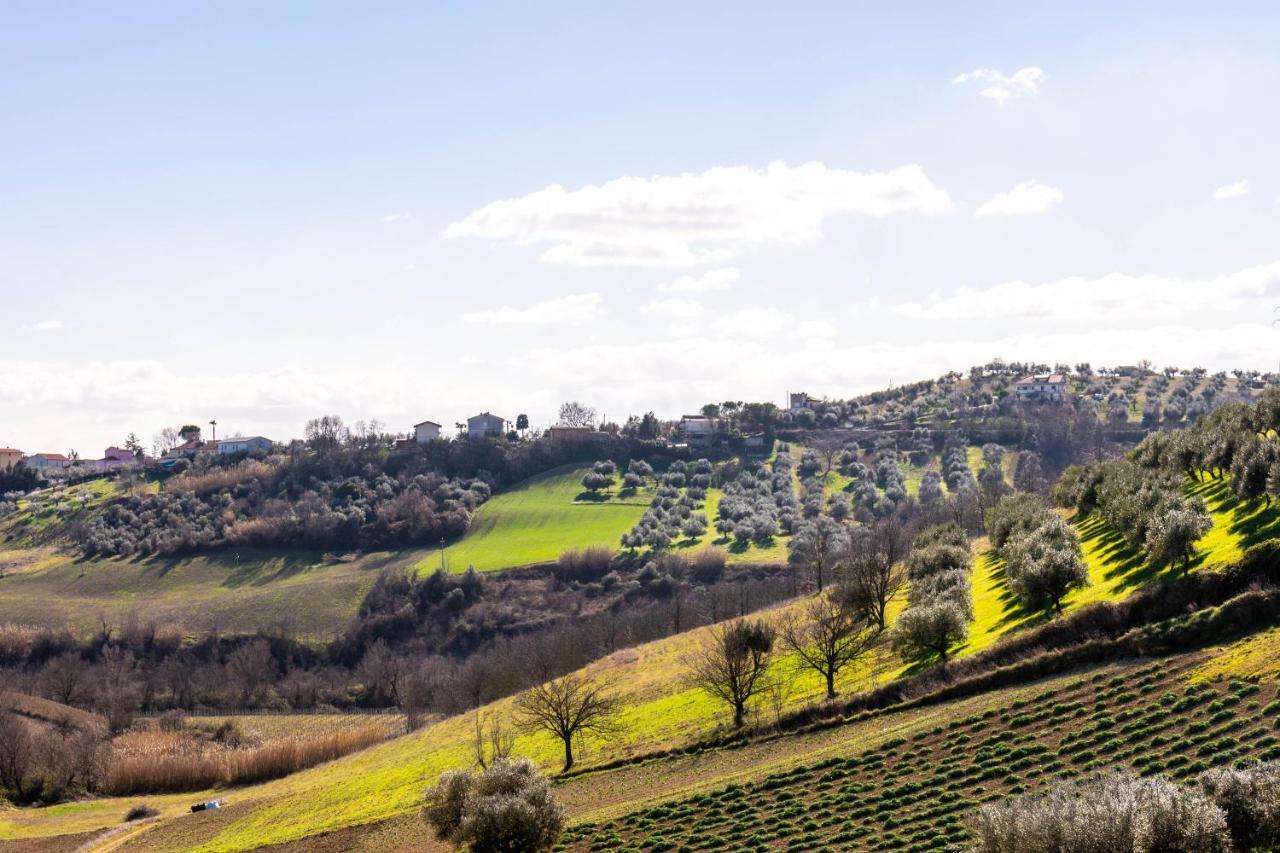 La Casa Del Nonno Bed & Breakfast Spoltore Bagian luar foto