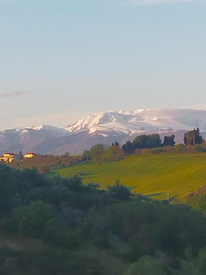 La Casa Del Nonno Bed & Breakfast Spoltore Bagian luar foto